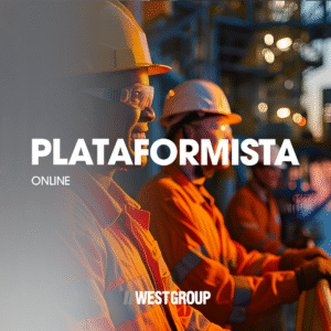 PLATAFORMISTA - ONLINE