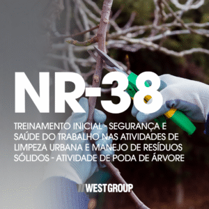NR-38 - TREINAMENTO INICIAL - SEGURANÇA E SAÚDE DO TRABALHO NAS ATIVIDADES DE LIMPEZA URBANA E MANEJO DE RESÍDUOS SÓLIDOS - ATIVIDADE DE PODA DE ÁRVORE - 08H (SEMIPRESENCIAL)